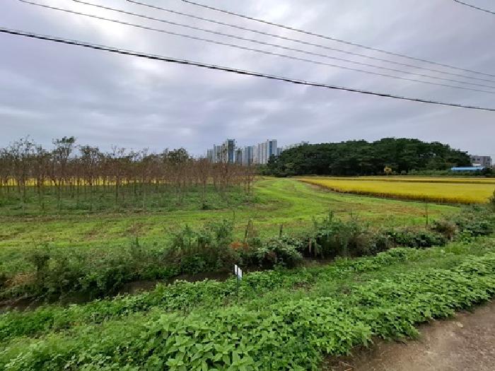 경남 사천시 사남면 답 경매 물건 사진 2 · 2025타경951