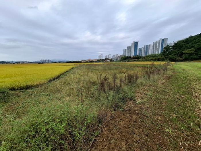 경남 사천시 사남면 답 경매 물건 사진 4 · 2025타경951