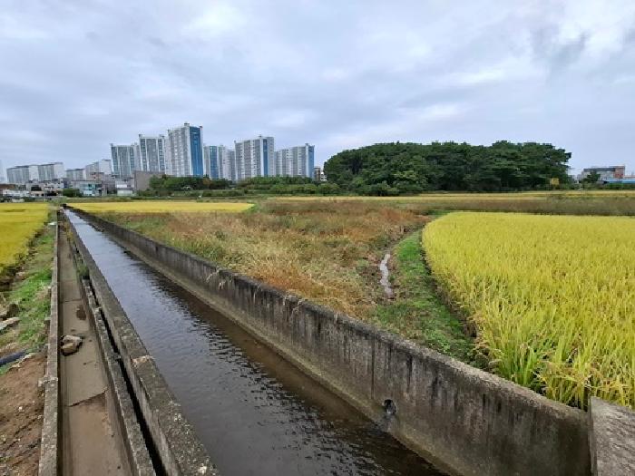 경남 사천시 사남면 답 경매 물건 사진 5 · 2025타경951