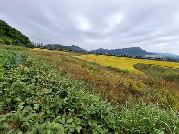 경남 사천시 사남면 답 경매 물건 사진 6 · 2025타경951