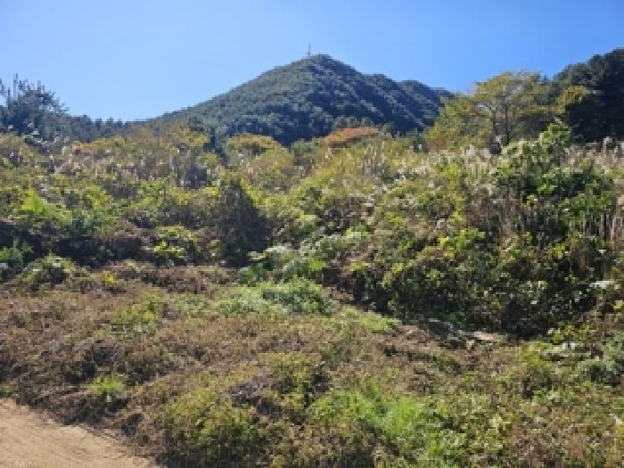 경남 산청군 시천면 임야 경매 물건 사진 2 · 2025타경970