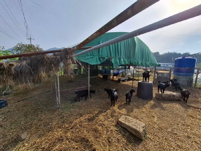경남 사천시 용현면 답 경매 물건 사진 3 · 2025타경979