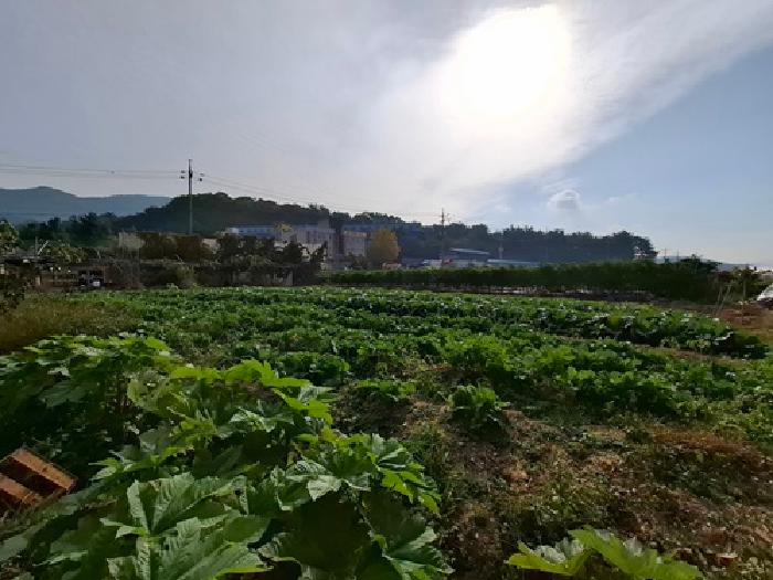 경남 사천시 용현면 답 경매 물건 사진 5 · 2025타경979