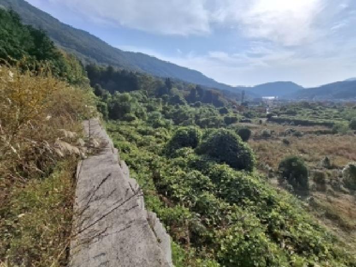 경남 사천시 와룡동 답 경매 물건 사진