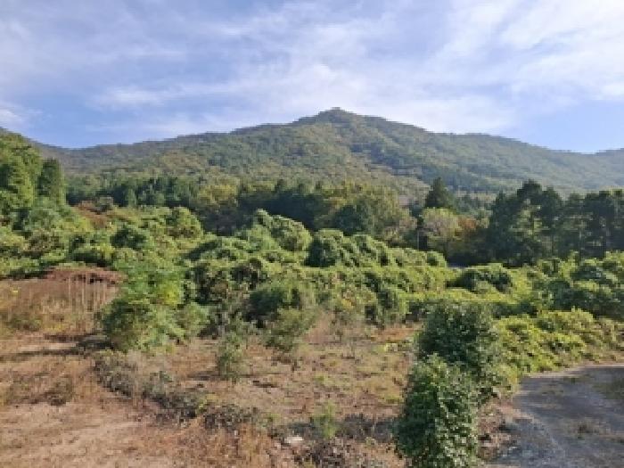 경남 사천시 와룡동 답 경매 물건 사진 2 · 2025타경981