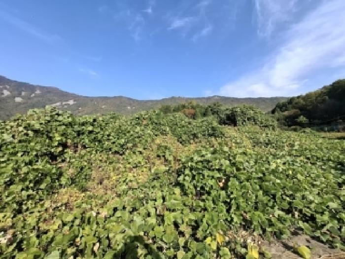 경남 사천시 와룡동 답 경매 물건 사진 3 · 2025타경981