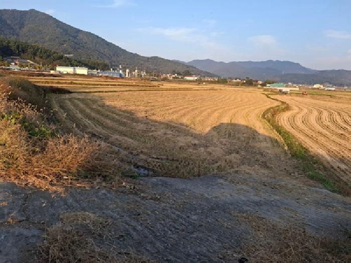 경남 사천시 봉남동 답 경매 물건 사진