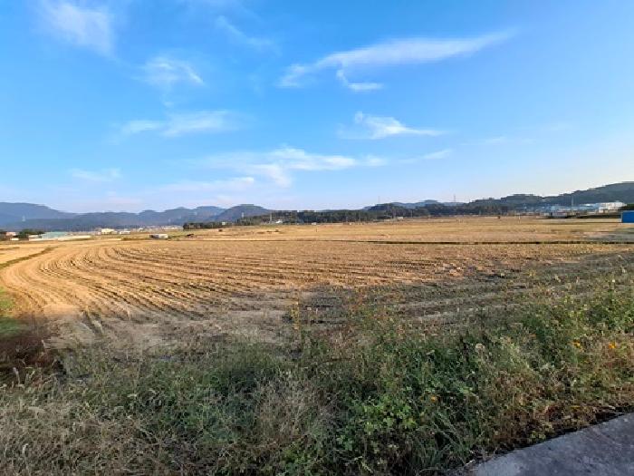 경남 사천시 봉남동 답 경매 물건 사진 2 · 2025타경983