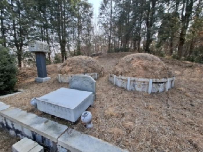 경남 하동군 금남면 임야 경매 물건 사진 5 · 2026타경10000