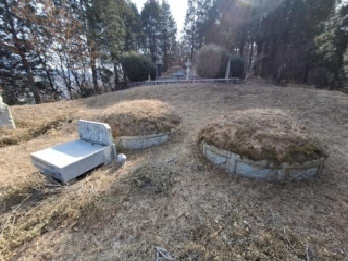 경남 하동군 금남면 임야 경매 물건 사진 6 · 2026타경10000