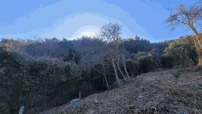 경남 남해군 이동면 임야 경매 물건 사진 6 · 2026타경10015