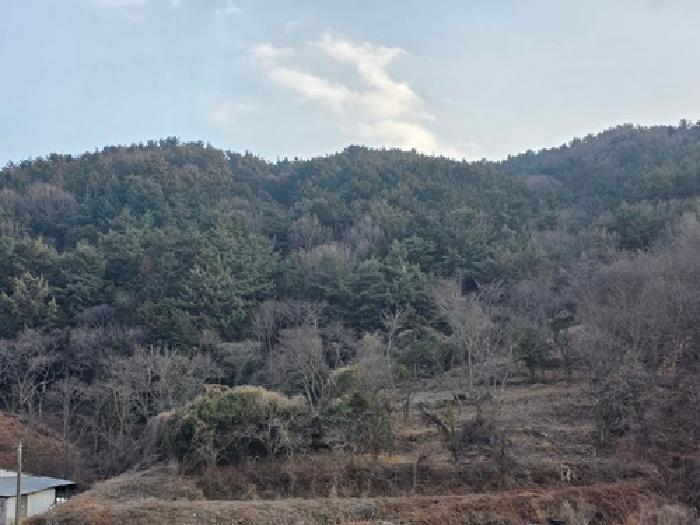 경남 남해군 이동면 임야 경매 물건 사진