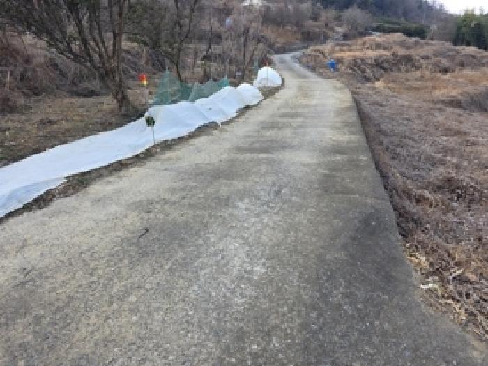경남 남해군 남해읍 답 경매 물건 사진 3 · 2026타경10035