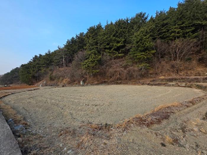 경남 남해군 남해읍 답 경매 물건 사진 6 · 2026타경10035