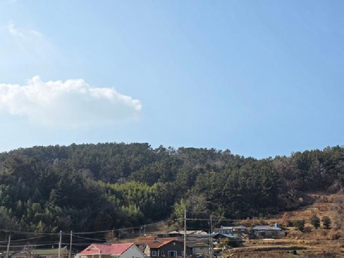 경남 남해군 고현면 임야 경매 물건 사진