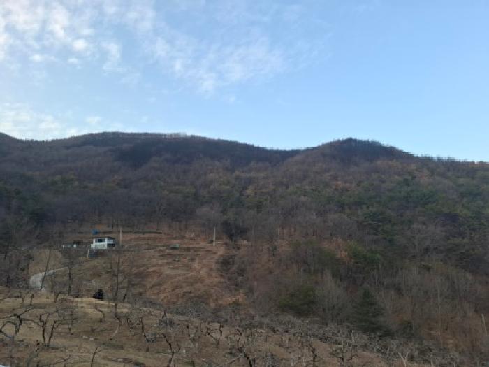 경남 하동군 옥종면 임야 경매 물건 사진