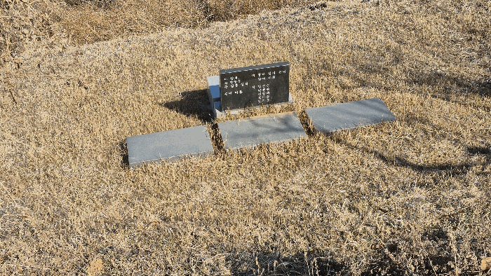 경남 사천시 용현면 대지,임야,전답 경매 물건 사진 5 · 2026타경10051