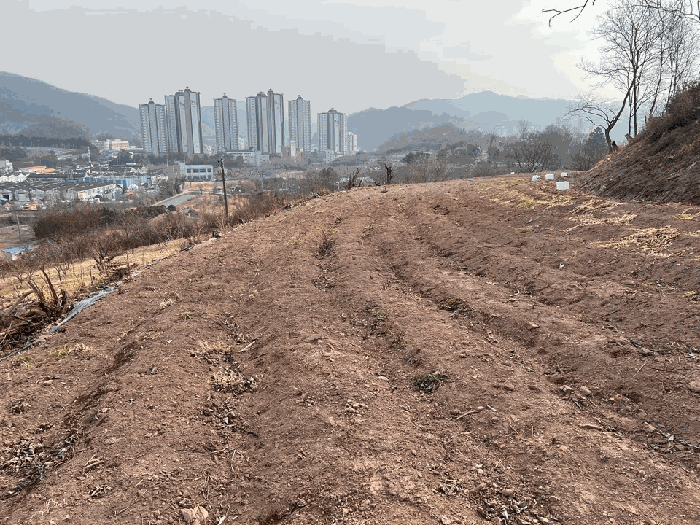 경남 진주시 문산읍 전답 경매 물건 사진 3 · 2026타경10061
