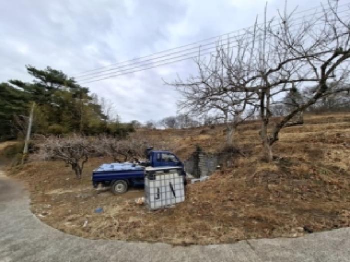 경남 산청군 단성면 대지,임야,전답 경매 물건 사진 2 · 2026타경10070