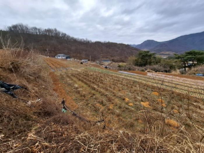 경남 산청군 단성면 대지,임야,전답 경매 물건 사진 4 · 2026타경10070