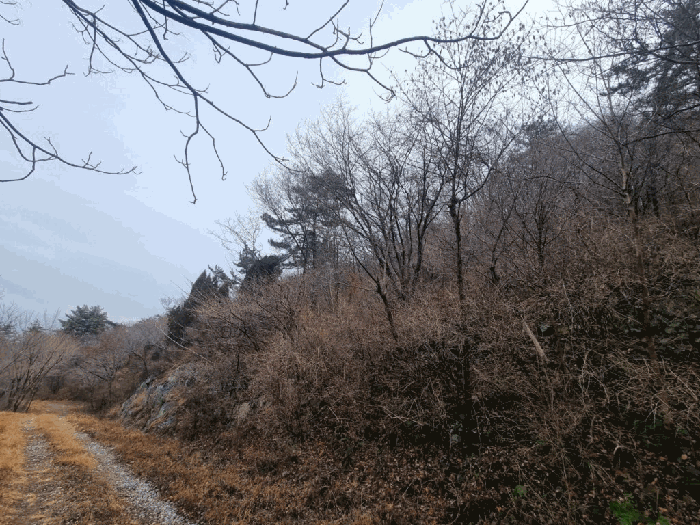 경남 남해군 남해읍 임야 경매 물건 사진 6 · 2026타경10081