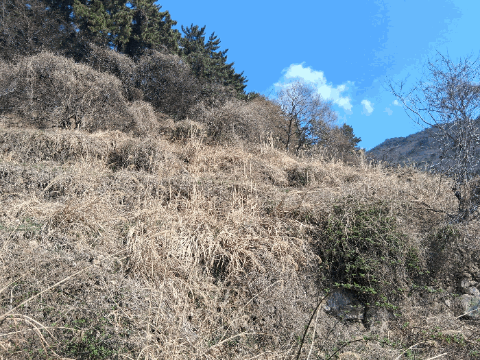 경남 남해군 이동면 답 경매 물건 사진 6 · 2026타경10084