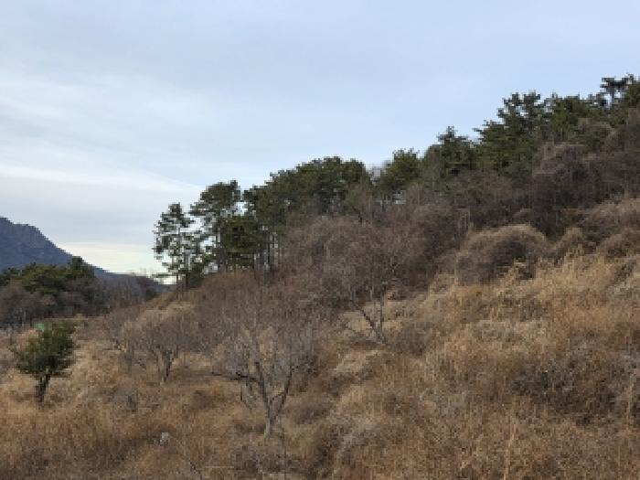 경남 남해군 이동면 답 경매 물건 사진