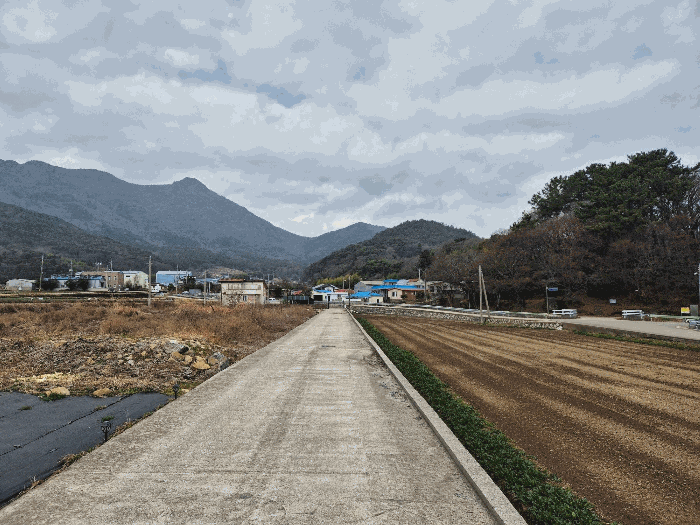 경남 남해군 이동면 대지,임야,전답 경매 물건 사진 5 · 2026타경10107
