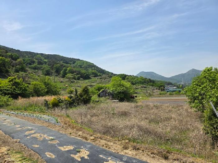 경남 남해군 설천면 대지,임야,전답 경매 물건 사진