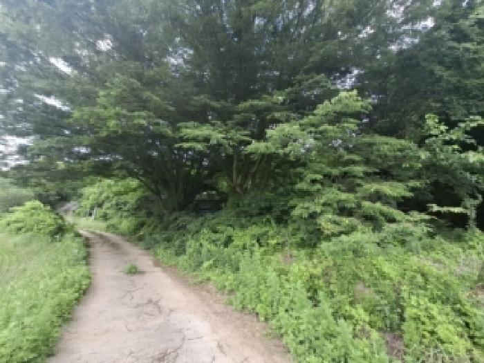 경남 산청군 차황면 동물및식물관련시설 경매 물건 사진 5 · 2026타경10274