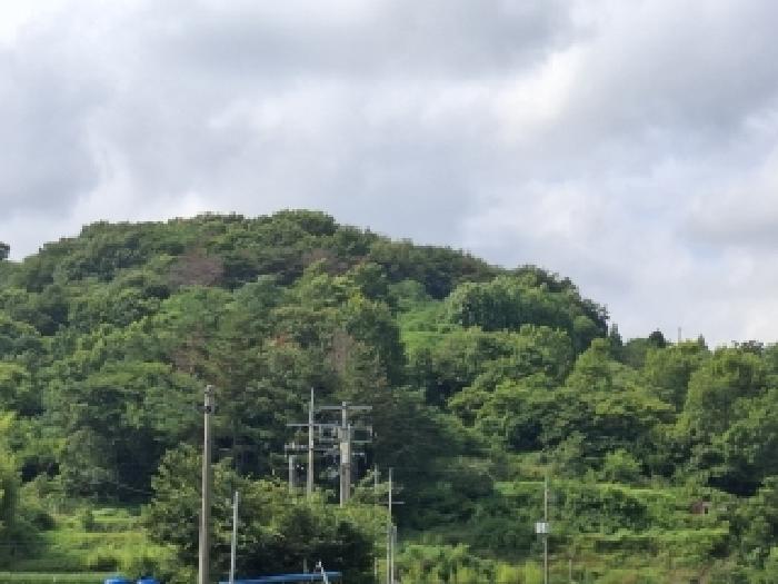 경남 진주시 문산읍 전답 경매 물건 사진