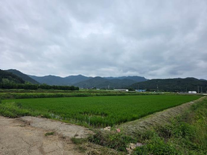 경남 사천시 궁지동 전답 경매 물건 사진