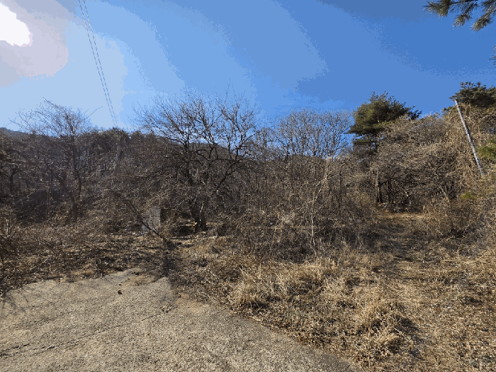 경남 산청군 신안면 임야 경매 물건 사진 5 · 2026타경110