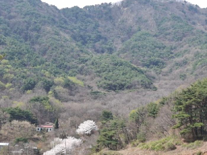 경남 산청군 신안면 임야 경매 물건 사진