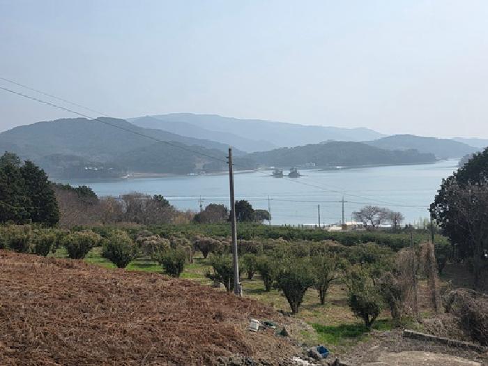 경남 남해군 창선면 대지,임야,전답 경매 물건 사진