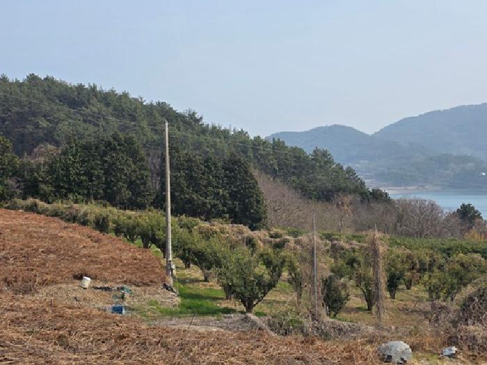 경남 남해군 창선면 대지,임야,전답 경매 물건 사진 2 · 2026타경113