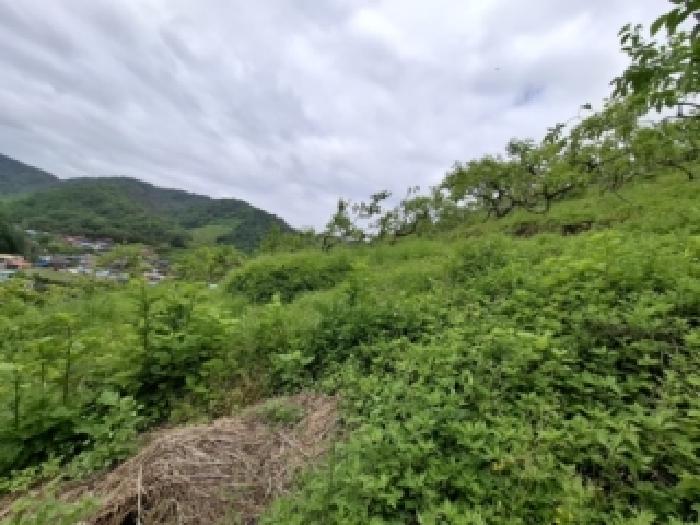 경남 진주시 문산읍 대지,임야,전답 경매 물건 사진