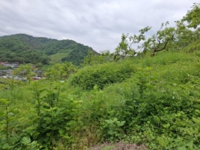 경남 진주시 문산읍 대지,임야,전답 경매 물건 사진 3 · 2026타경118