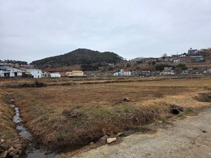 경남 남해군 삼동면 대지,임야,전답 경매 물건 사진 2 · 2026타경14
