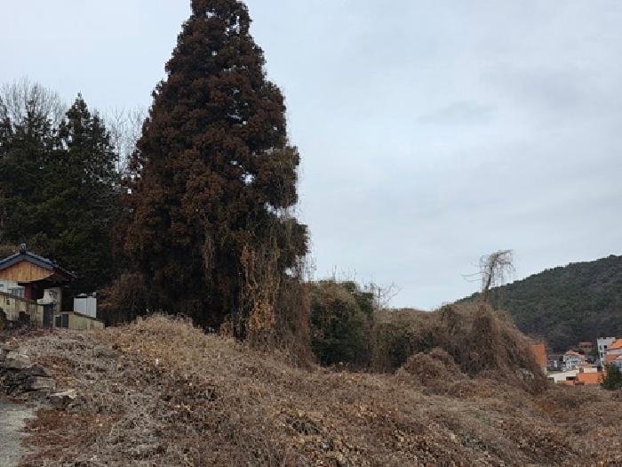 경남 남해군 삼동면 대지,임야,전답 경매 물건 사진 5 · 2026타경14