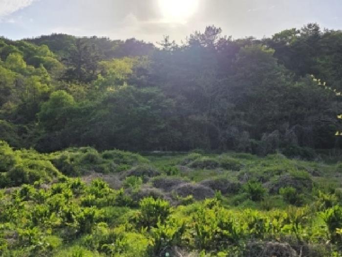 경남 사천시 서포면 대지,임야,전답 경매 물건 사진