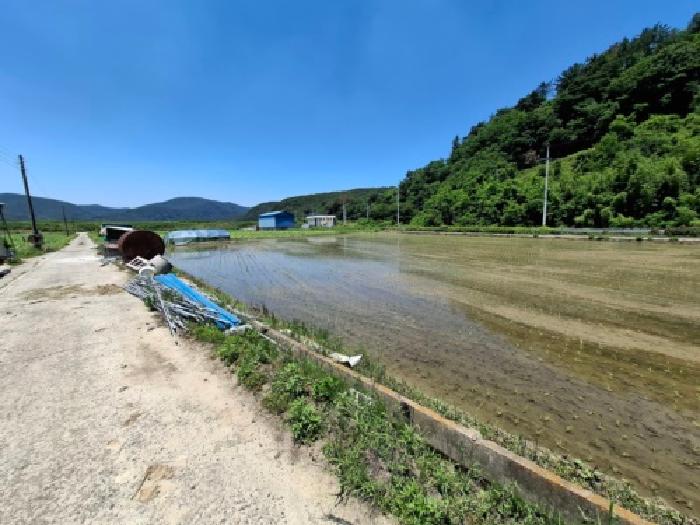 경남 진주시 지수면 전답 경매 물건 사진 2 · 2026타경193