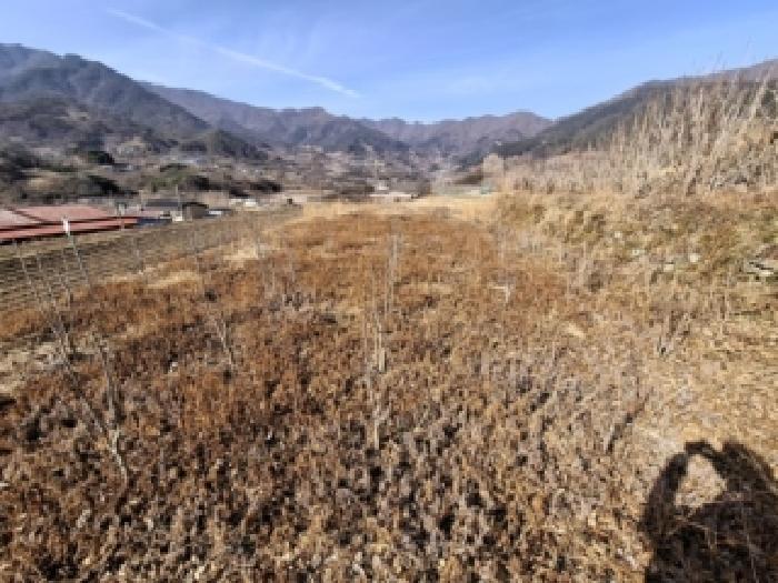 경남 하동군 악양면 대지,임야,전답 경매 물건 사진