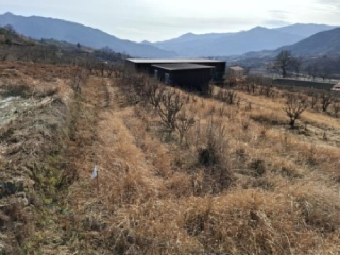 경남 하동군 악양면 대지,임야,전답 경매 물건 사진 5 · 2026타경21