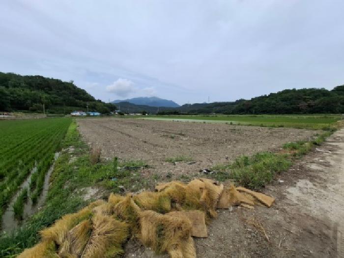 경남 하동군 금성면 전답 경매 물건 사진