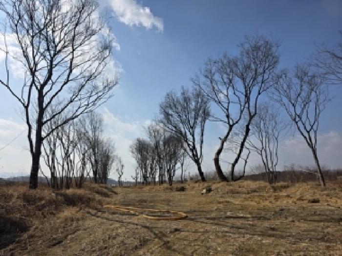 경남 사천시 축동면 전답 경매 물건 사진