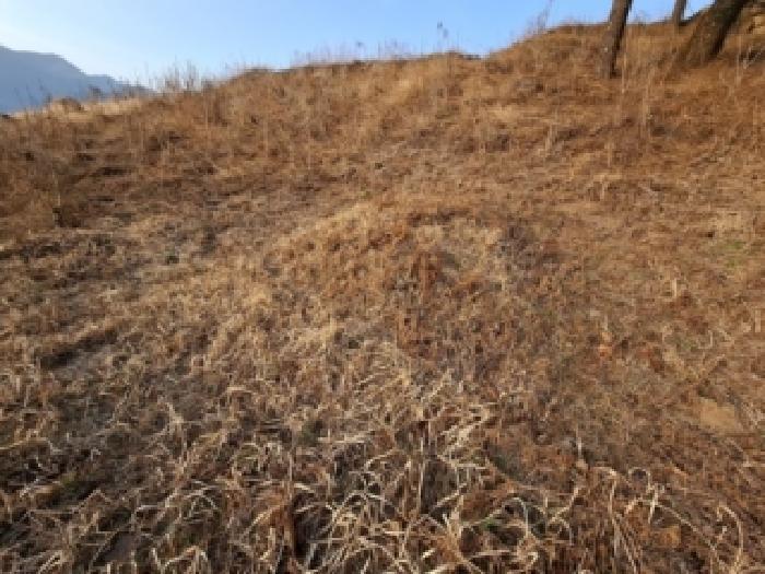 경남 하동군 악양면 임야 경매 물건 사진