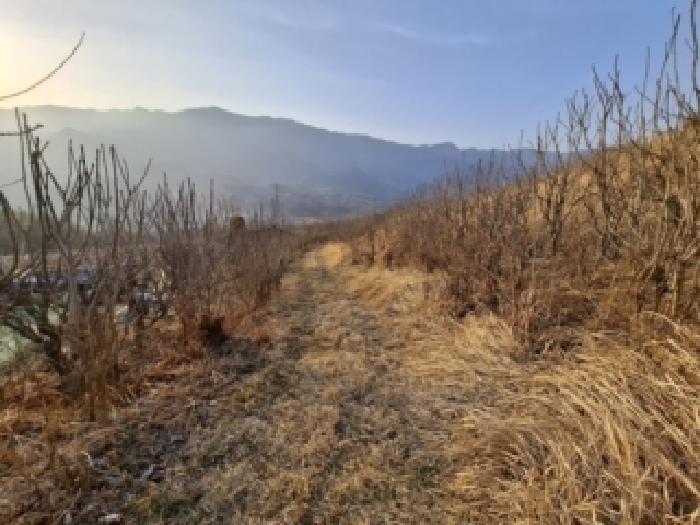 경남 하동군 악양면 임야 경매 물건 사진 2 · 2026타경64