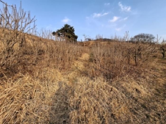 경남 하동군 악양면 임야 경매 물건 사진 3 · 2026타경64