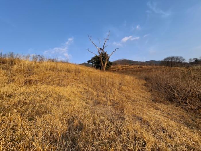 경남 하동군 악양면 임야 경매 물건 사진 4 · 2026타경64